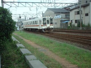 �L�n�P�P�`�ʐ^